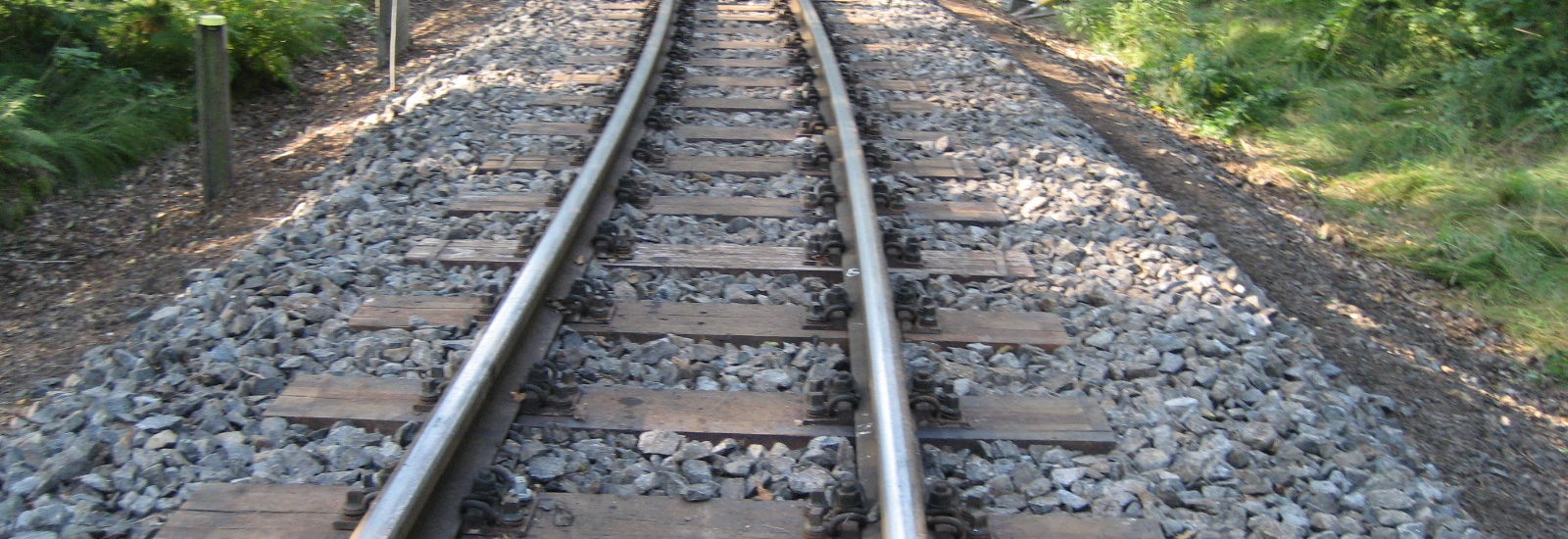 Loßnitzgrundbahn 2