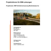 RSRG DRS Referenz_BIM Fahrbahnerneuerung Murterstrasse Ins