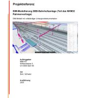 RSRG DRS Referenz_BIM-Modellierung SBB-Bahnhofsanlage